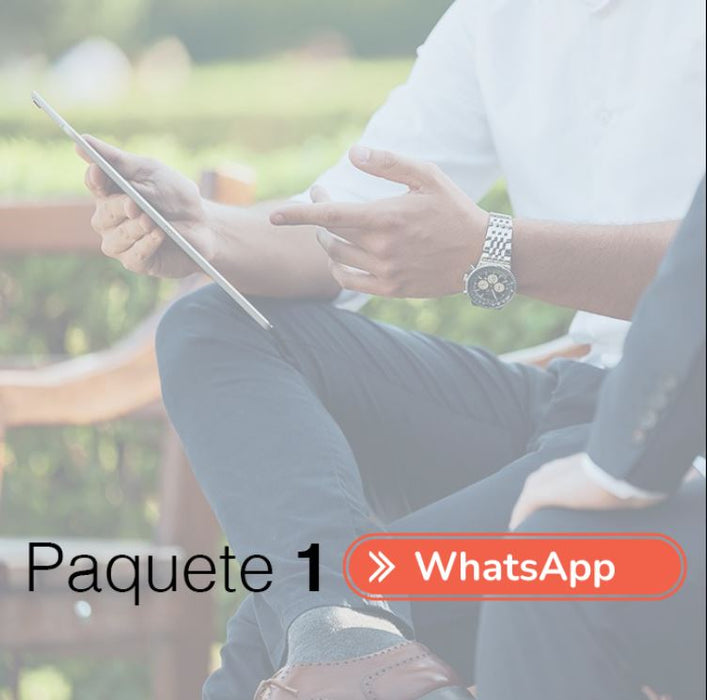 Paquete 1 Enrique Robles + Consultas de WhatsApp